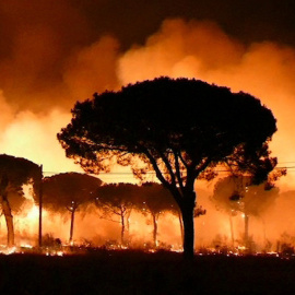 Incendio declarado en la noche del sábado en el paraje 'La Peñuela' de Moguer (Huelva) que ha entrado en el Espacio Natural de Doñana./EFE