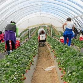 No dejar a nadie atrás