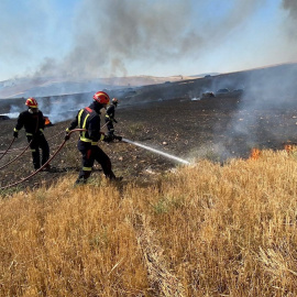 01/08/2020.- Efectivos del cuerpo de bomberos trabajan en las labores de extinción del incendio de cereal y pasto originado en la localidad madrileña de Valdepiélagos, que ha obligado a desalojar la urbanización Lago del Jaral, ya en territorio de Gua