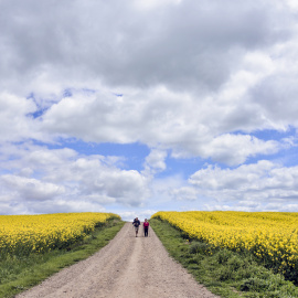 Correos te ayuda a completar el Camino de Santiago