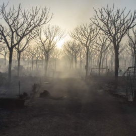 Incendio forestal de Moguer /EUROPA PRESS