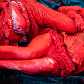 'Manual de uso', de La Ribot.