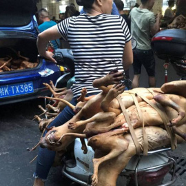 Varios carniceros con perros sacrificados en el festival de culinario de la carne de can celebrado el año pasado en Yulin. REUTERS/Tyrone Siu