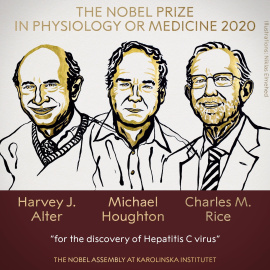 Harvey J. Alter, Michael Houghton y Charles M. Rice, Premio Nobel de Medicina 2020. / THE NOBEL PRIZE