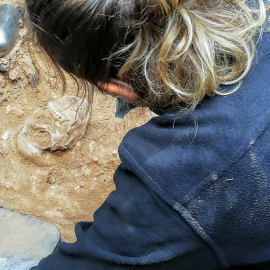 Este viernes aparecieron los primeros restos humanos en la exhumación de la fosa nº 3 del cementerio de Guadalajara.- ÓSCAR RODRÍGUEZ (ARMH)