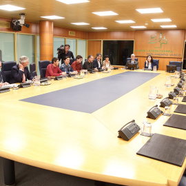 Reunión de la Ponencia de Autogobierno en el Parlamento Vasco. EFE/David Aguilar.