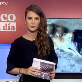 Núria Martínez, durante el informativo Público al Día.