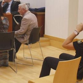 El hombre británico de 77 años, acusado de asesinar a su pareja sentimental a bastonazos en San Miguel de Salinas, durante la celebración del juicio en la sala de la Audiencia Provincial en Elche /EFE