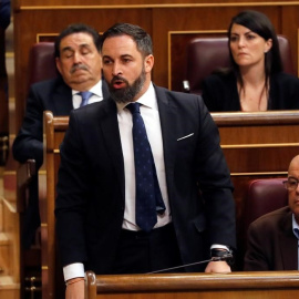 Santiago Abascal, en el Congreso. - EFE