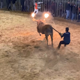 Imagen del toro embolado celebrado en Villarreal el pasado 17 de octubre, en plena pandemia. AnimaNaturalis