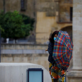 Una mujer se protege del viento con un paraguas en Córdoba, en una jornada en la que la llegada de la borrasca atlántica 'Bárbara' a la península deja fuertes rachas de viento. EFE/Salas