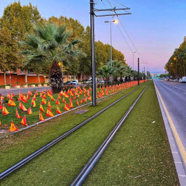 Imagen de Murcia publicada por la Asociación de Víctimas y Afectados por Coronavirus.