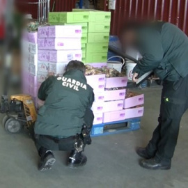 La Guardia Civil incauta 300 toneladas de alimentos y 39.000 libtros de bebidas. Guardia Civil