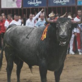 El toro Escribano, ante el hostigamiento de los allí presentes, poco antes de ser abatido de un disparo. PACMA