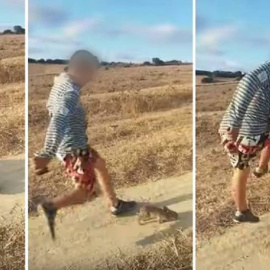 Fotogramas del vídeo que muestra el maltrato