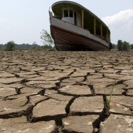 La sequía ha dejado así el río Amazonas a su paso por Manaus