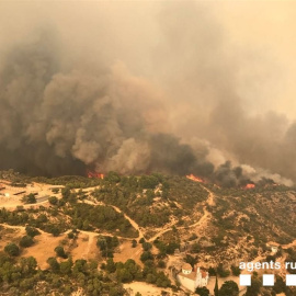 26/06/2019 - Incendio de Torre de l'Espanyol. / EUROPA PRESS - AGENTS RURALS