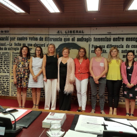 La Comisión de Igualdad del Senado.- EP