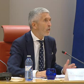 Marlaska califica de "preocupantes" las últimas noticias del rey Juan Carlos