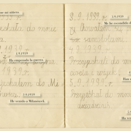 'He visto un pájaro carpintero'