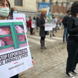 Protesta de Igualdad de Animal frente al ministerio de Agricultura.