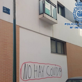 Pintada negacionista