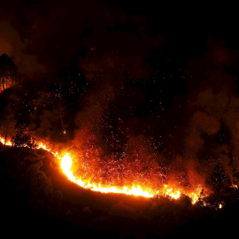 Incendio forestal declarado este lunes en la zona de Ribas de Sil, en Lugo.