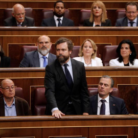 El portavoz de Vox en el Congreso, Iván Espinosa de los Monteros, en la Cámara Baja. EFE/Archivo