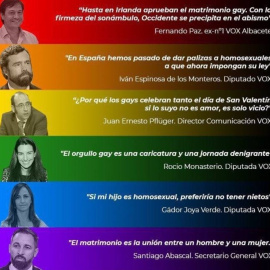 Frases homófobas de dirigentes de Vox. / Twitter