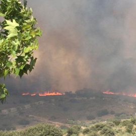 Incendio de Montesión y La Bastida, en Toledo. / EP