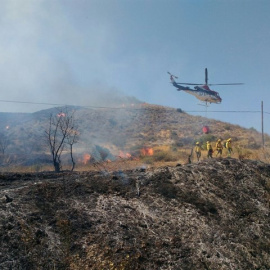 Según la ministra de Agricultura, Alimentación y medio ambiente, la "peculiares condiciones climáticas y orográficas" de España, propician un mayor riesgo de sufrir incendios forestales.
