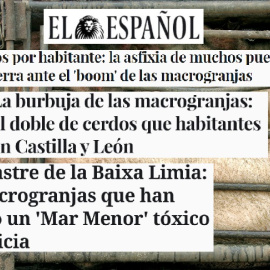 FILE PHOTO: Pigs wait for cleaning in a cage outside a slaughterhouse at a suburb of Beijing August 5, 2005. REUTERS/Jason Lee/File Photo