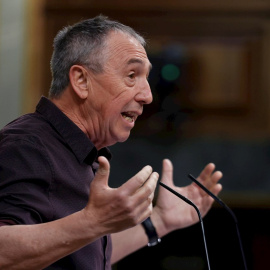 El portavoz de Compromís en el Congreso, Joan Baldoví.