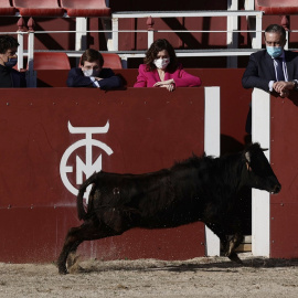 El alcalde de Madrid, José Luis Martínez-Almeida, y la presidenta de la Comunidad de Madrid, Isabel Díaz Ayuso durante una visita a la escuela regional de tauromaquia de la Venta de Batán.