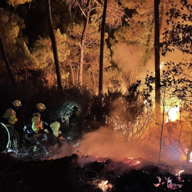 Imágenes del incendio en Sierra Bermeja