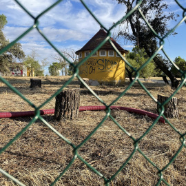 Varios arboles tocados tras el vallado de las obras en la Dehesa de Navalcarbón.