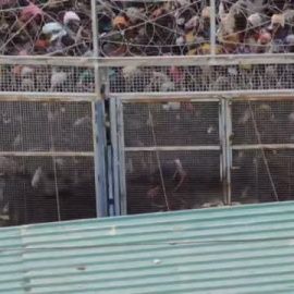 Un informe del Defensor del Pueblo cuestiona la versión de Fernando Grande-Marlaska sobre lo ocurrido en la valla de Melilla