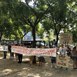 A las puertas de la Ciutat de la Justícia se han concentrado una veintena de personas. Europa Press