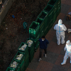 Trabajadores voluntarios pasean perros para los residentes fuera de un edificio de la Unidad con casos confirmados en Beijing, China