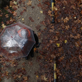 Una persona con paraguas, rodeada del característico suelo lleno de hojas de esta época.