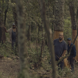 Una secuencia de la película 'Suro'.