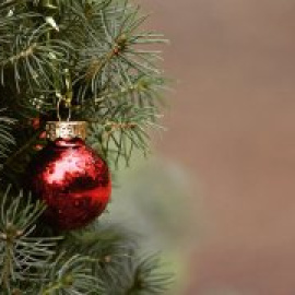 Consells per a unes festes de Nadal responsables amb el medi natural