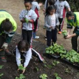 Barcelona sumará 8,5 hectáreas de espacios verdes en 2023