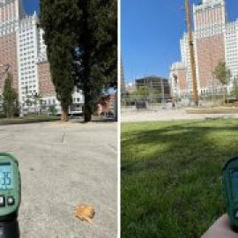 Árboles contra asfalto: así bajan las temperaturas de las ciudades si hay zonas verdes