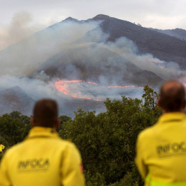13/09/2021 El incendio de Sierra Bermeja deja decenas de animales carbonizados