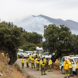 Miembros del Infoca en la Sierra Bermeja, visto desde el cerro de la Silla de los Huesos. E.P./Álex Zea