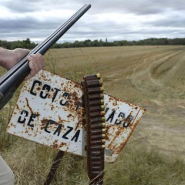 Una escopeta y su canana en un coto de caza. EFE/Archivo