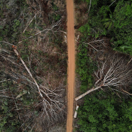 Una vista aérea muestra una parcela deforestada de la selva amazónica brasileña, en Apui, estado de Amazonas, Brasil.