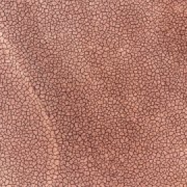 ¿Cuáles son las consecuencias de una gran sequía en Europa?