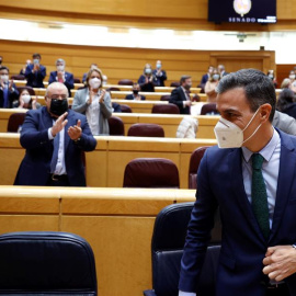 Pedro Sánchez Senado
